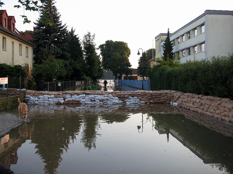 Hochwasser (108).JPG